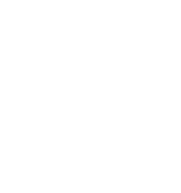 VEX Group